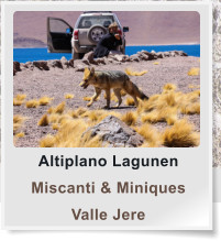 Altiplano Lagunen Miscanti & Miniques Valle Jere